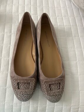 ANTONIO MELANI Taupe Suede Crystal-Embellished Ballet Flats